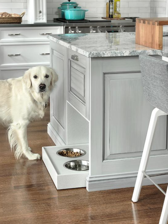 Built In Pet Stations In Our Homes