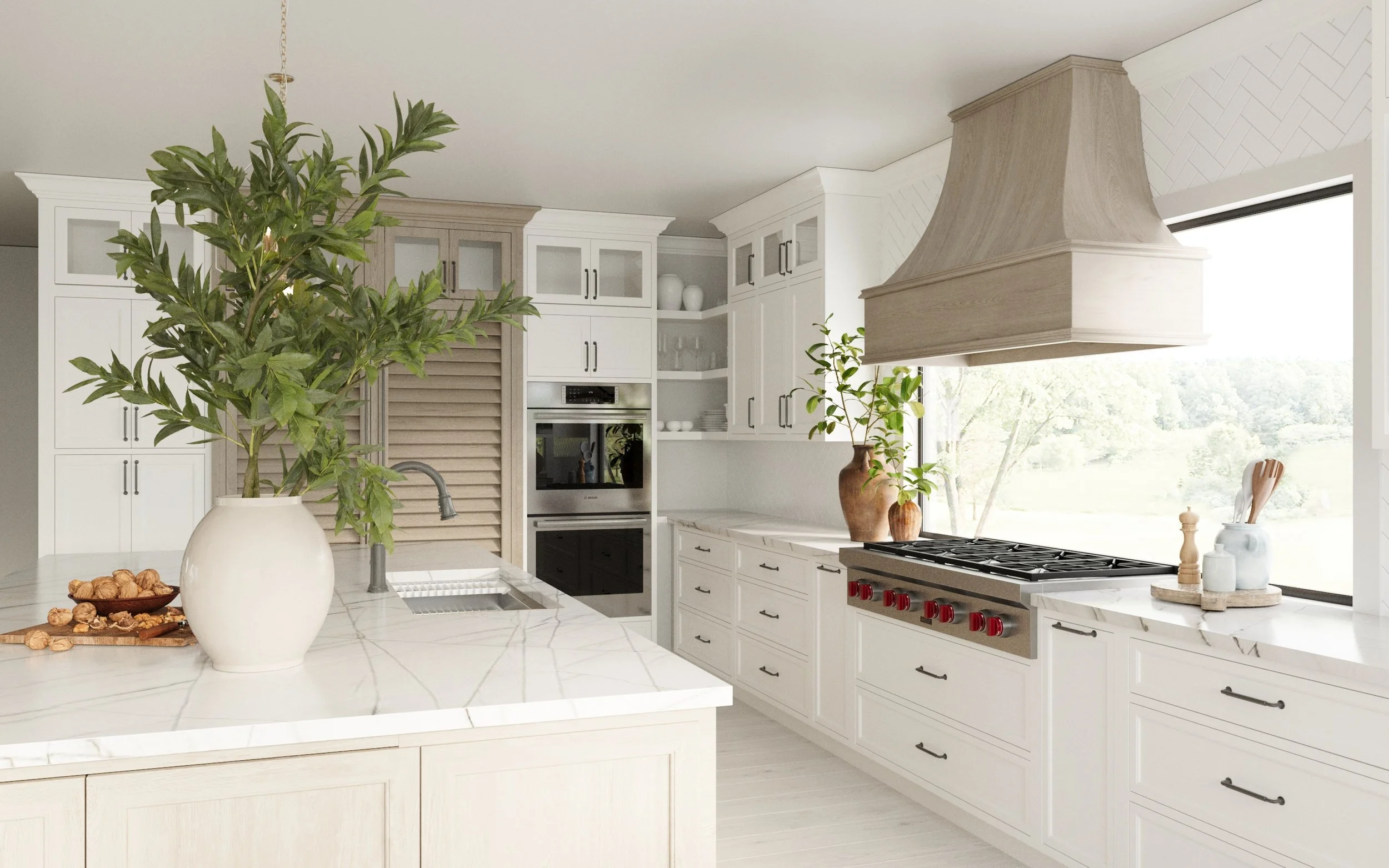  3d Rendering of the Future Kitchen.  