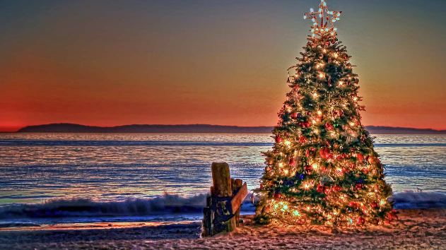 Photo via Slow Tours Australia Christmas Holiday