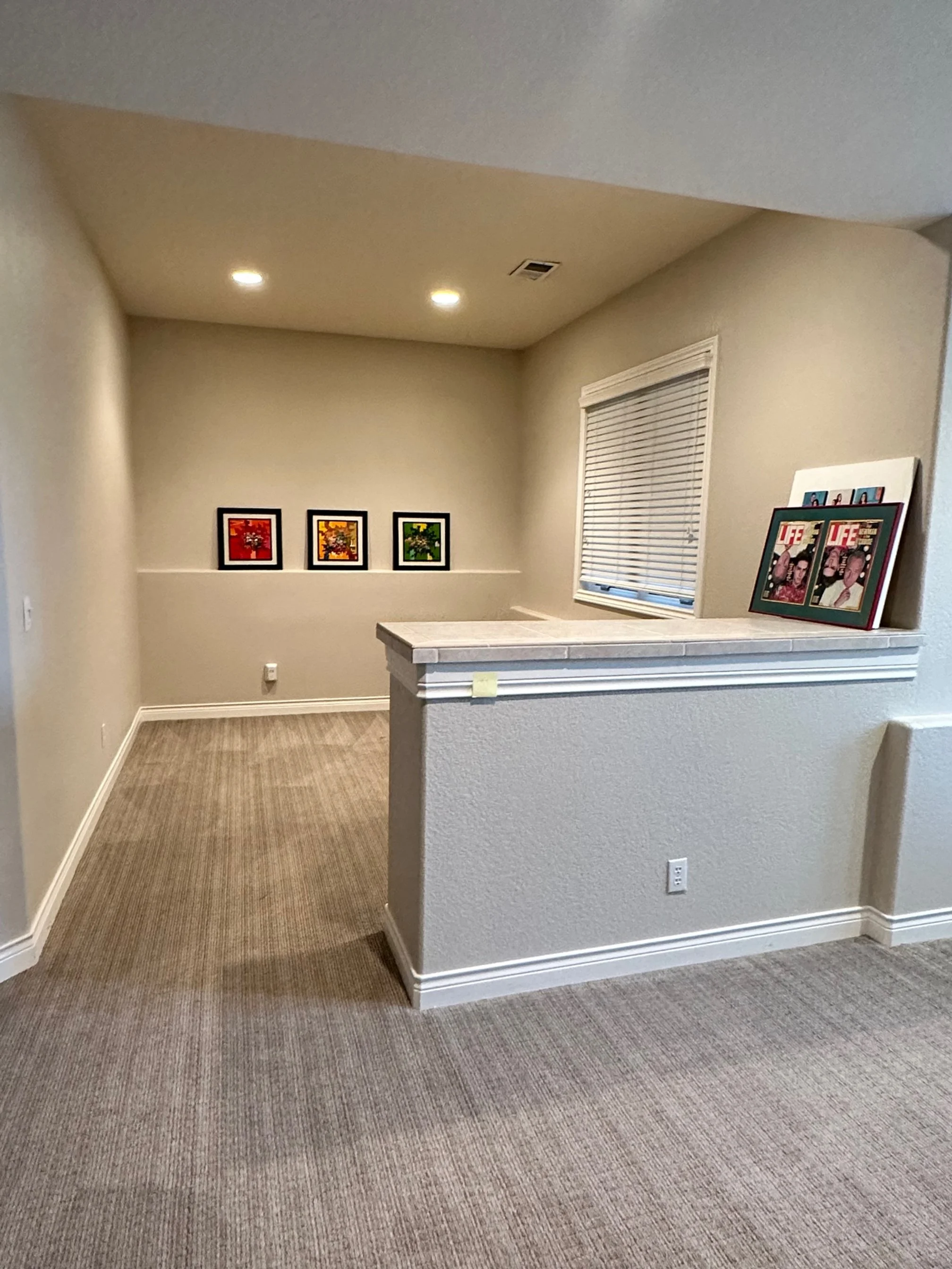Before Basement - The Pinery Parker CO